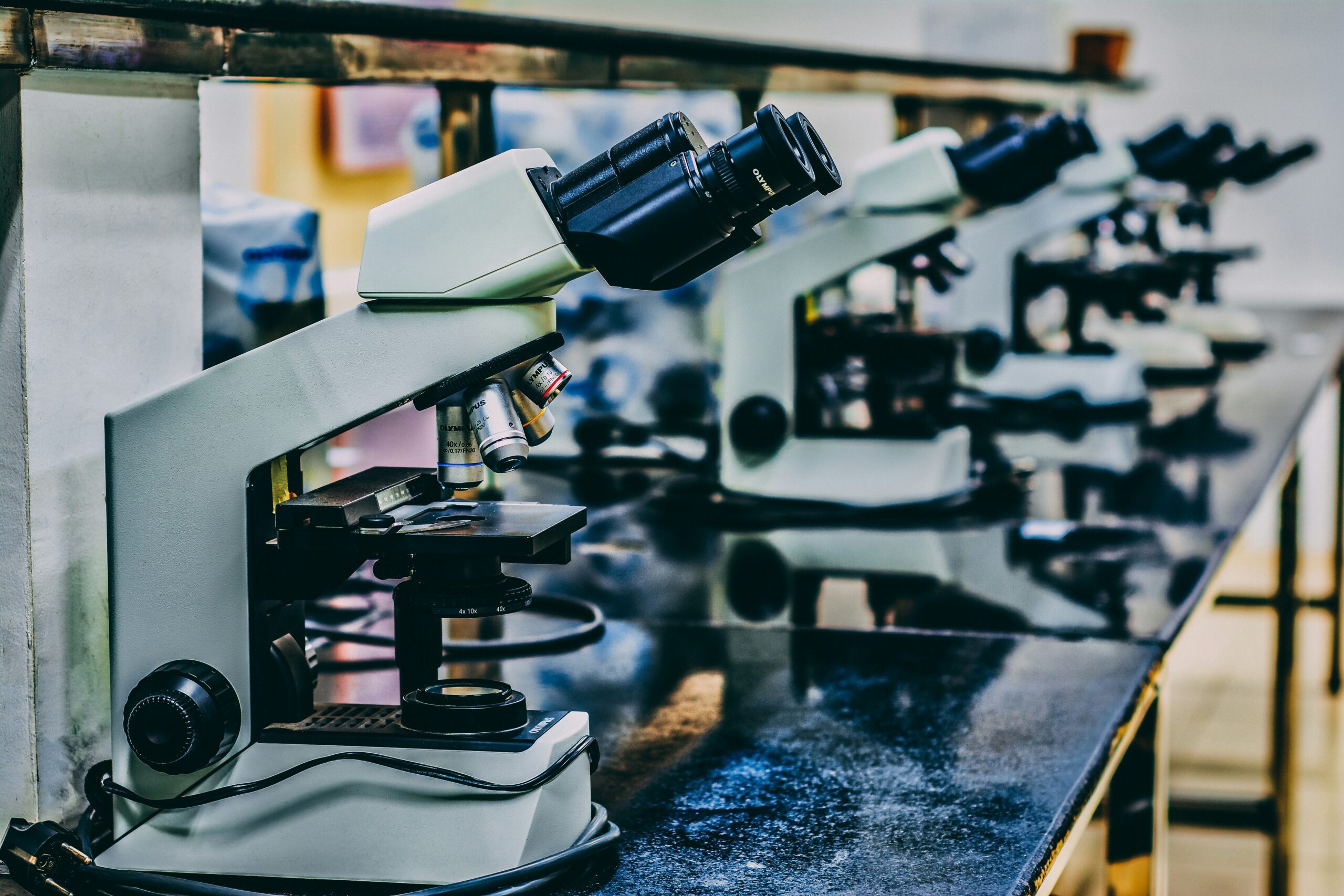 Die biodynamische Feldforschung zeigt wunderbare Ergebnisse. Foto von Ousa Chea auf Unsplash